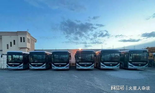 中国客车出口“王者”易主 厦门金龙跃居第二，旅游客运成新引擎